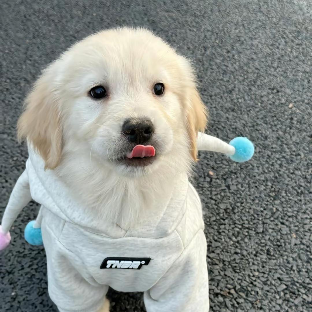 kk（见过童老师版）