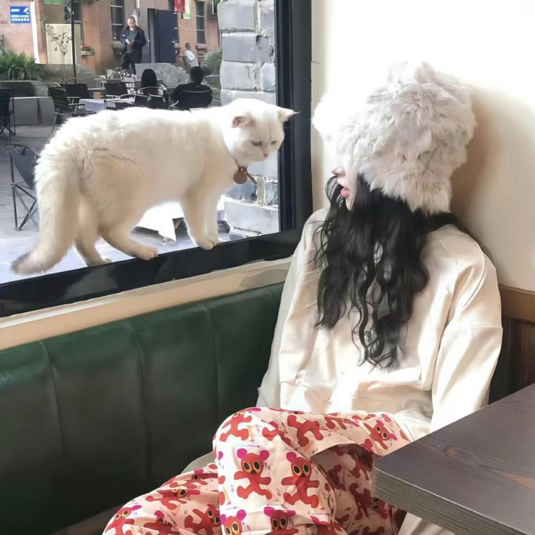 小圆圆