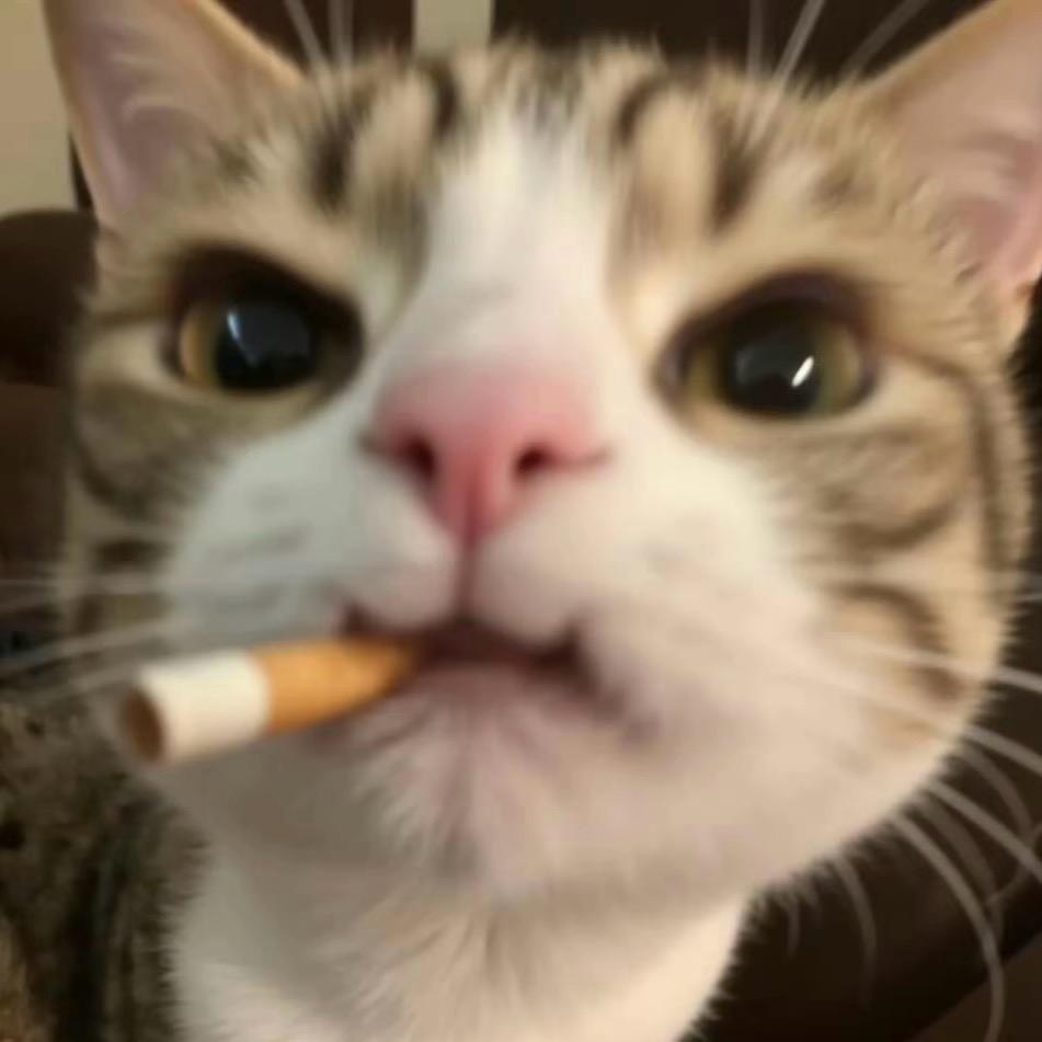 邪恶莓果猫🥨