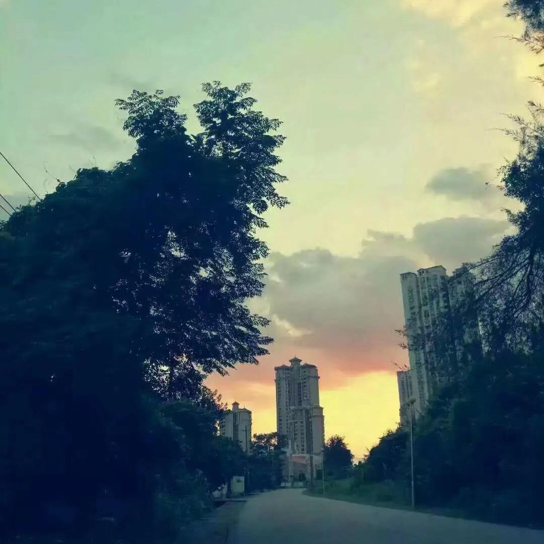 楠宝