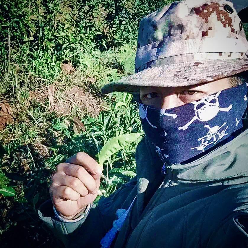 猫🐯大叔👨‍🏫