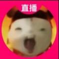 小᳐喵᳐弦音੭
