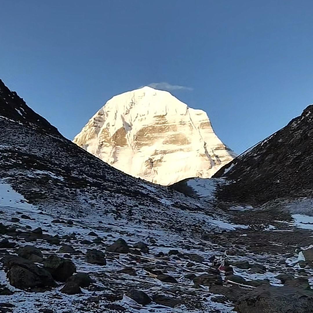 无论几岁🐠童心万岁
