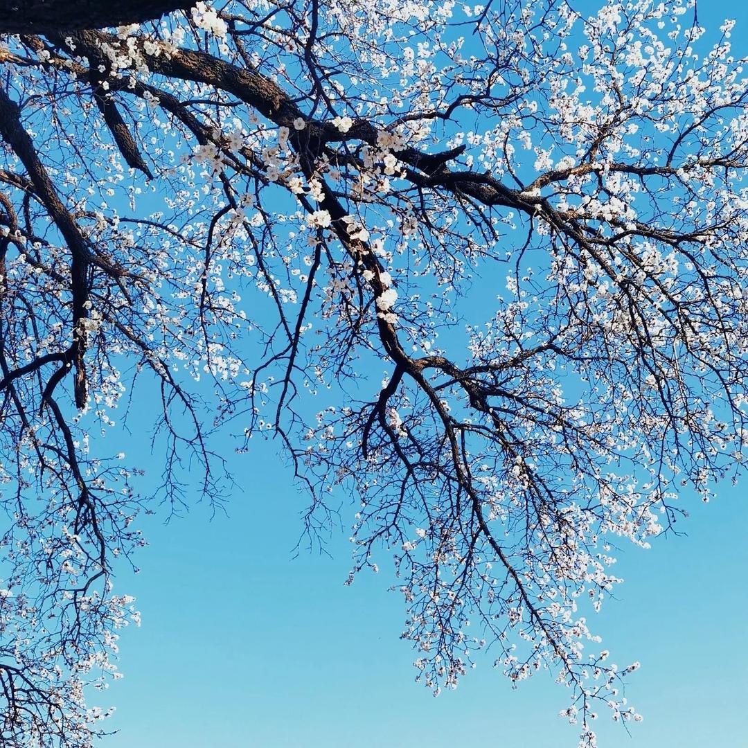 惠不是慧
