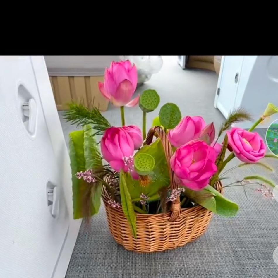 白洋淀圏头村见冰垂钓🎣园