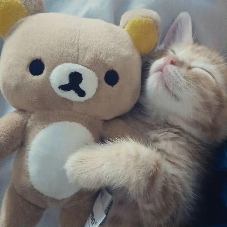 ㅠㅠ