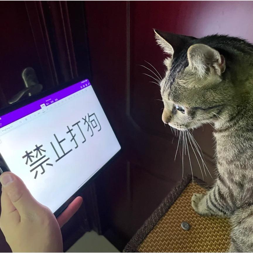 曾曾老师～～