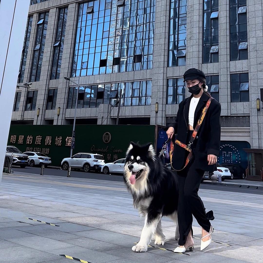 我是小胖墩呀