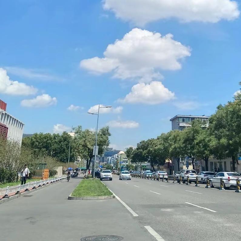 番茄音乐🎵