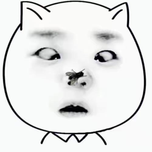 王哈哈༻烤炉鸡蛋灌饼（范县首家）