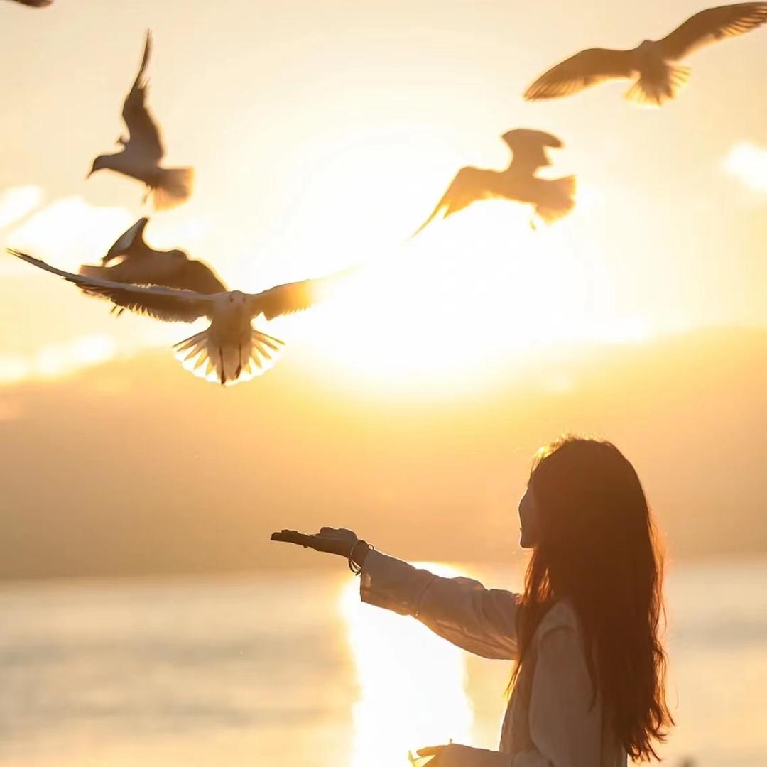 赫尔蜜丝企业店