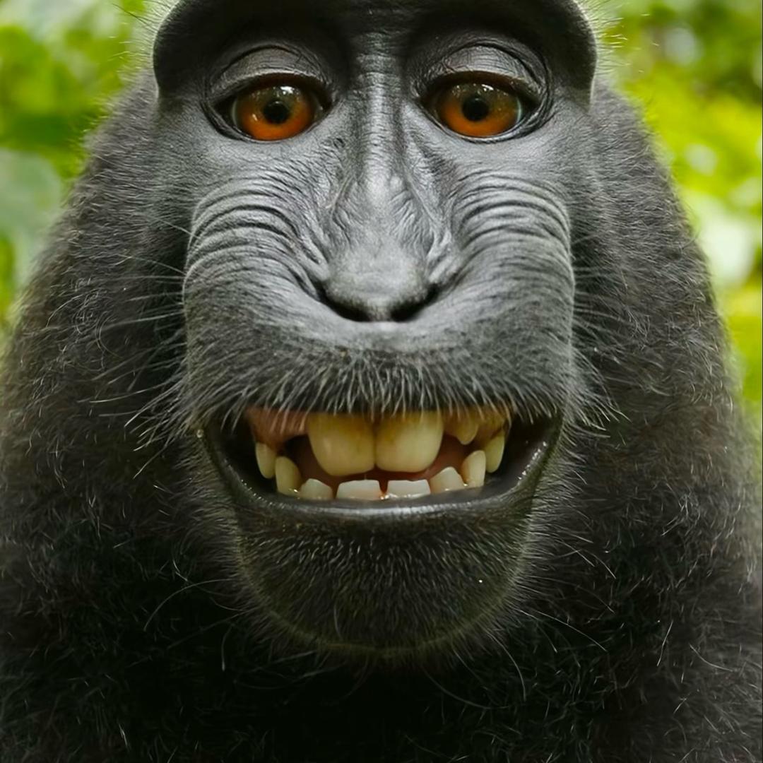 辣拉子