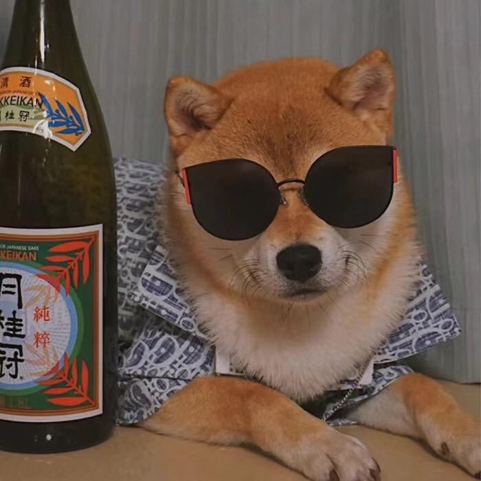 狗宇博的老父亲