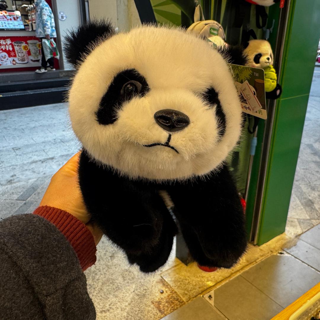 დ᭄ꦿ薇꧔ꦿ℘