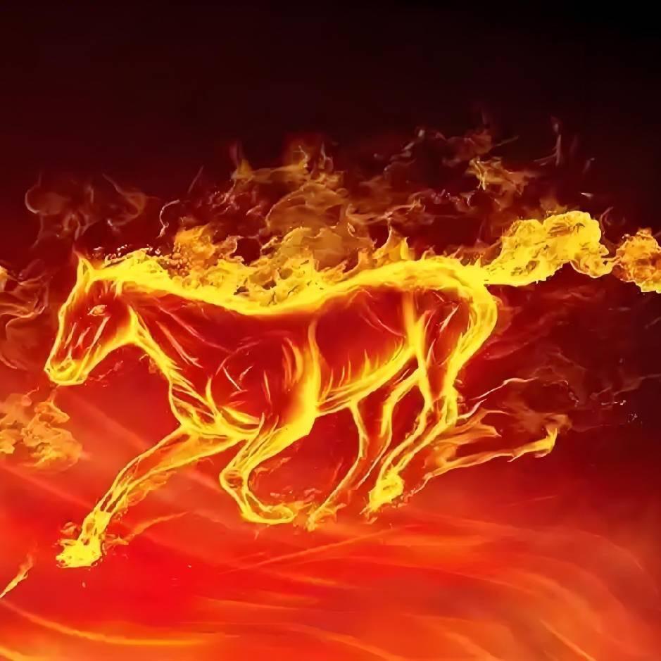 离火🔥