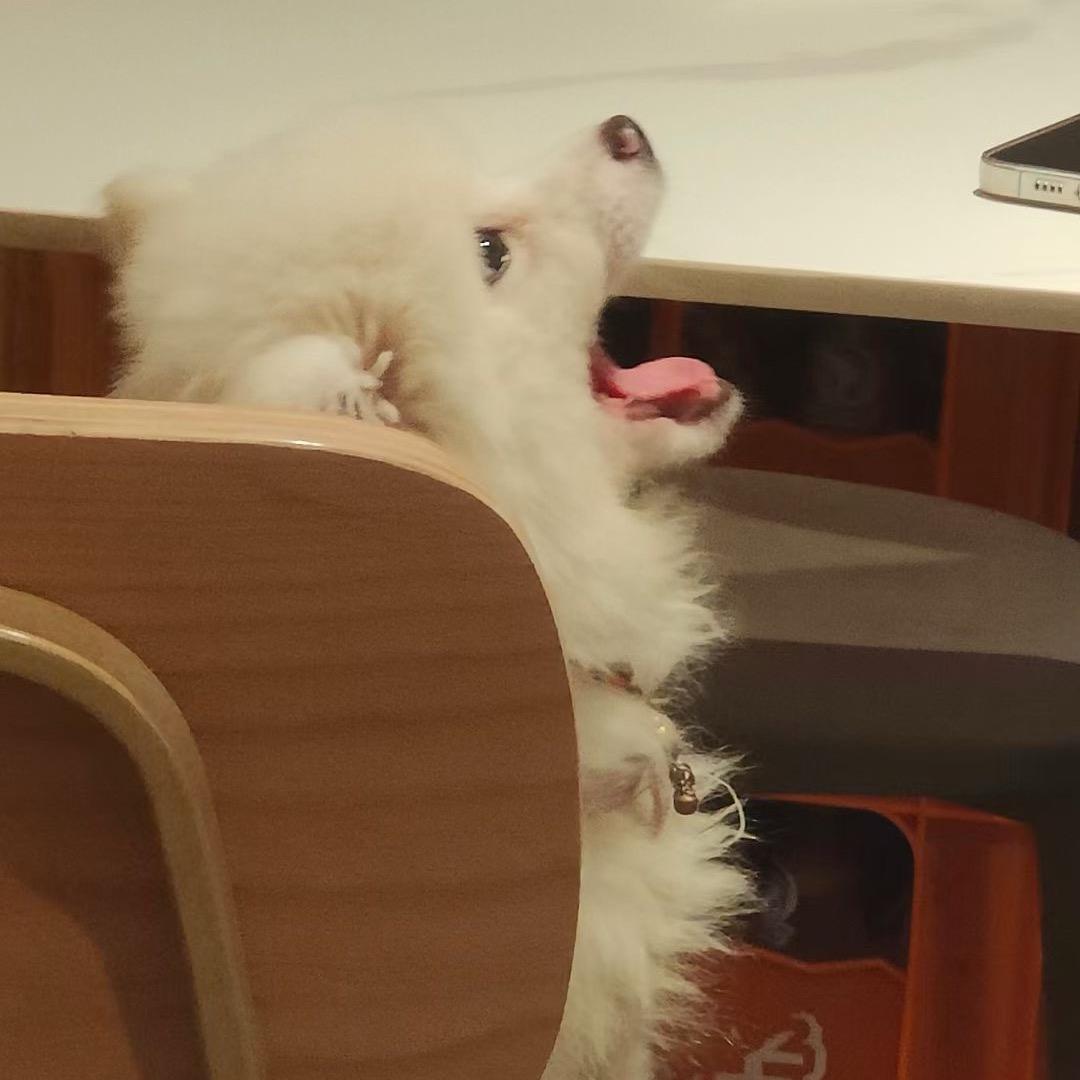 一颗草莓🍓