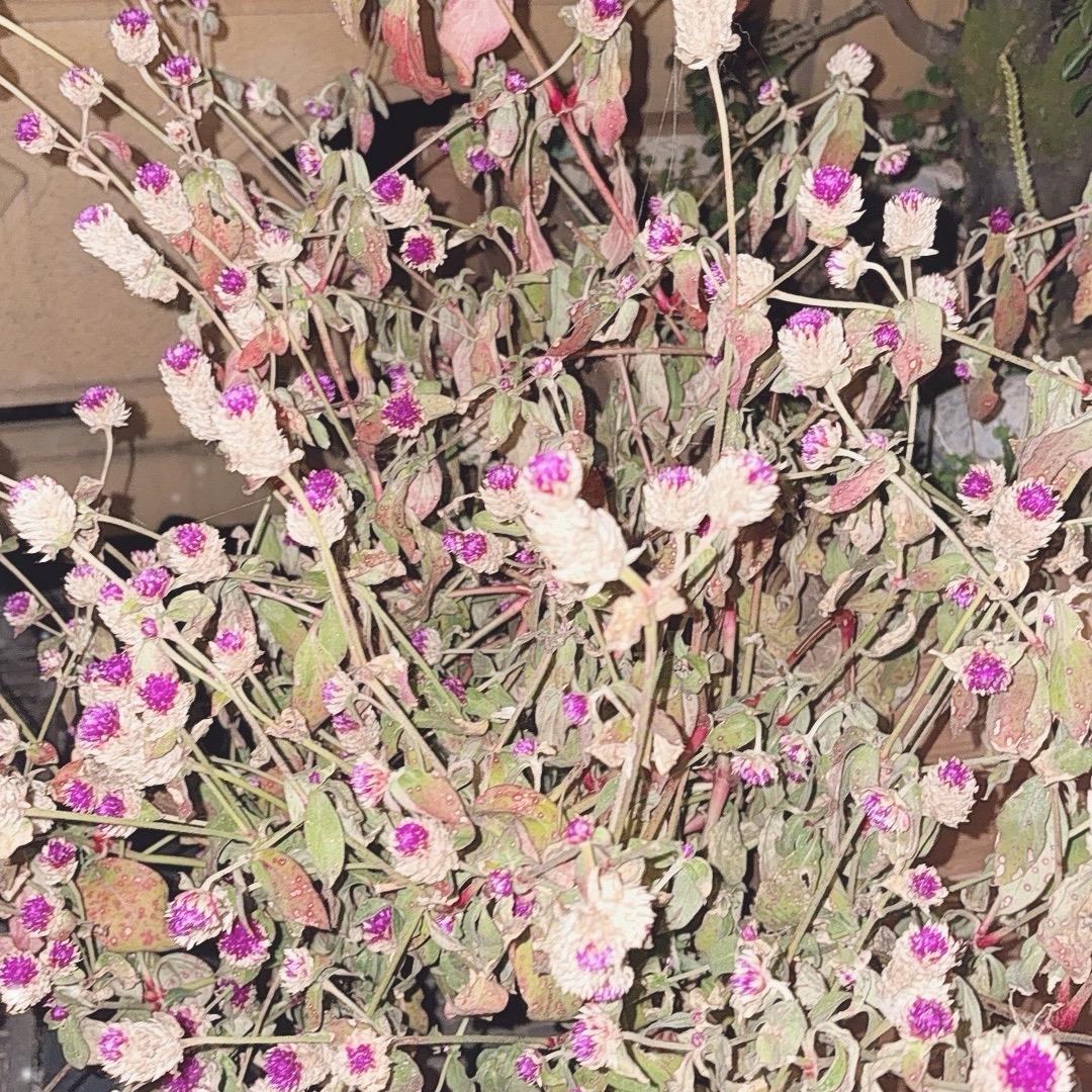 💕💕💕❤️💕👍👍