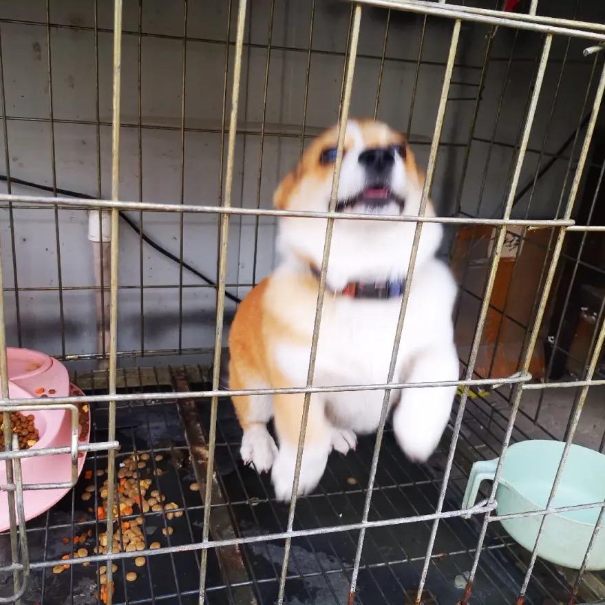 哟！是阿聪啊