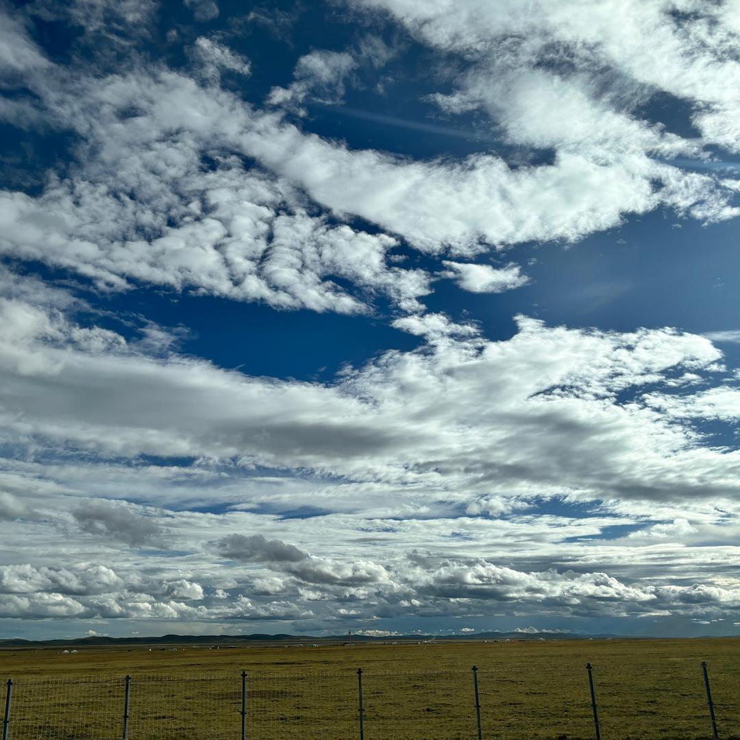 我（王者变现）