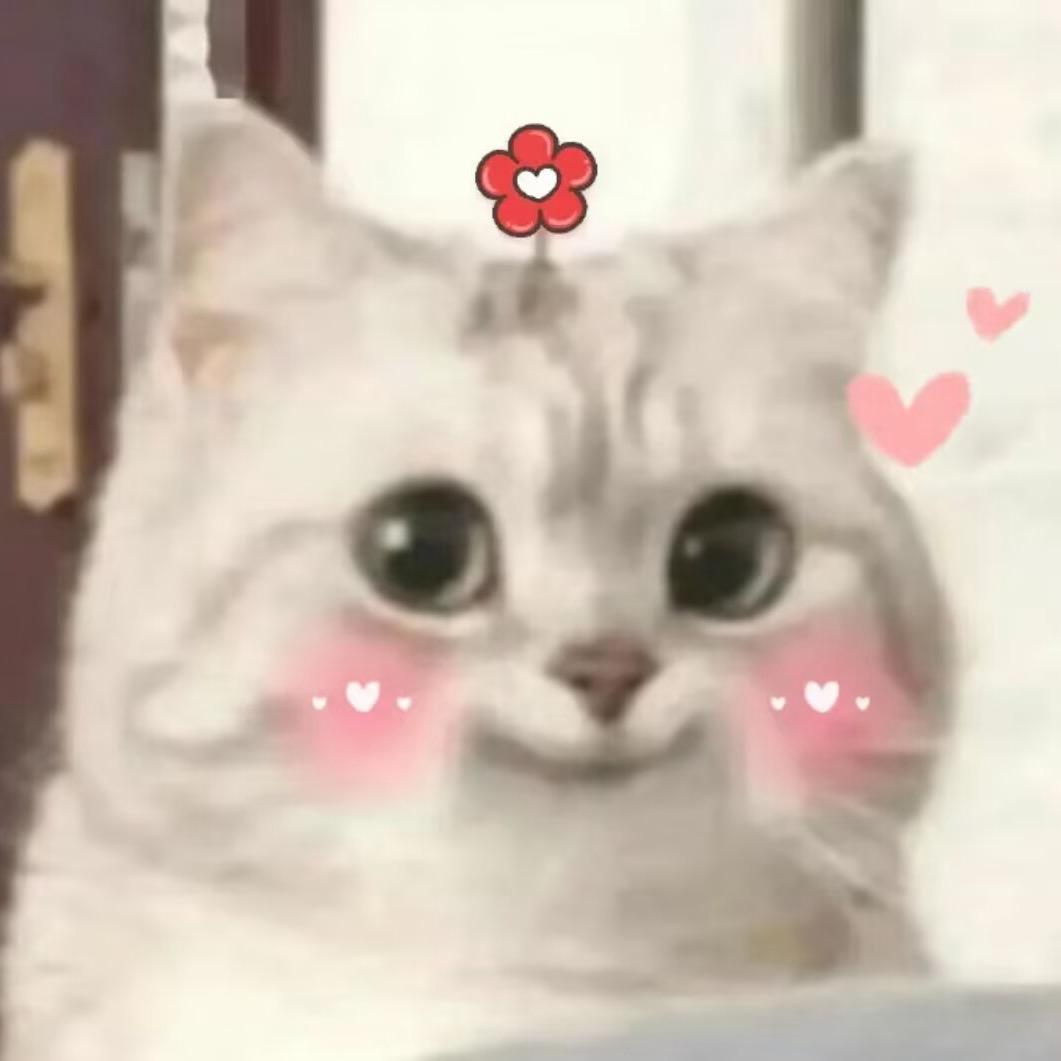 Q✨