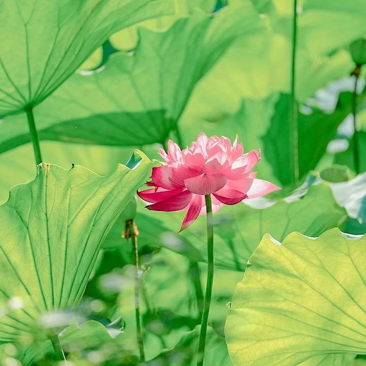 安宁