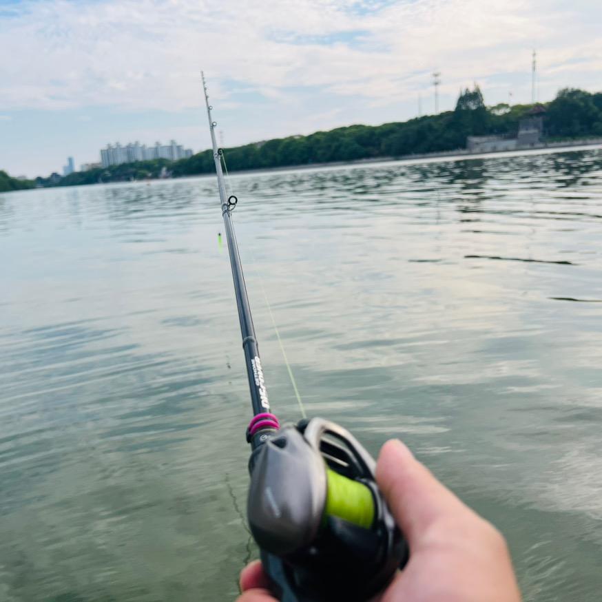 爱钓鱼的阿猫阿狗🎣