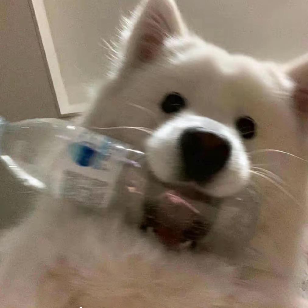 叽里哗啦