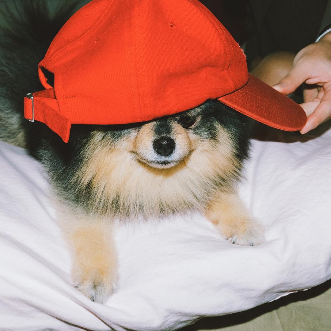 jingyu_Taekook（被果回复版