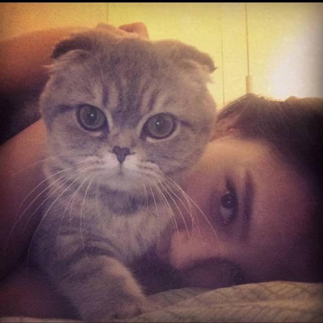 欲渔遇雨与鱼语郁