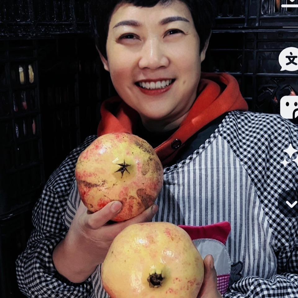 蒲城方樽石榴金姐