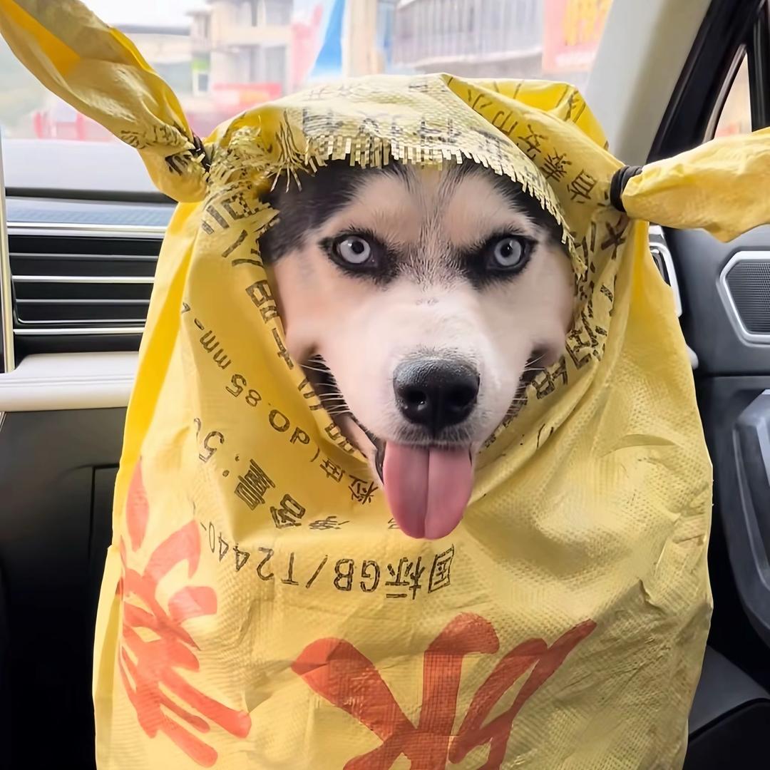 骨灰级牛马