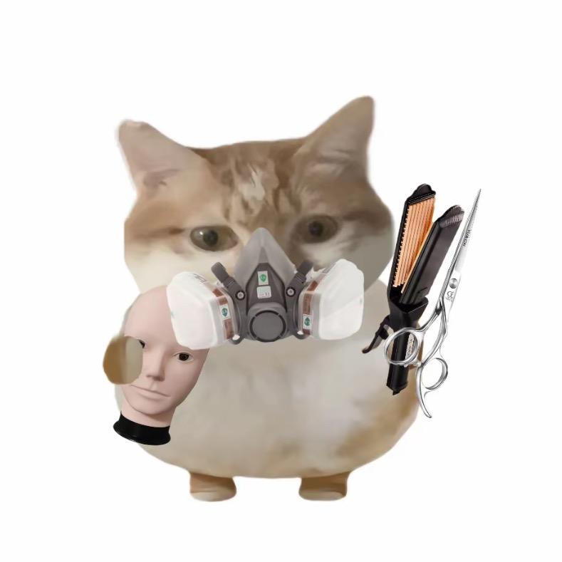 我不会做后脑勺