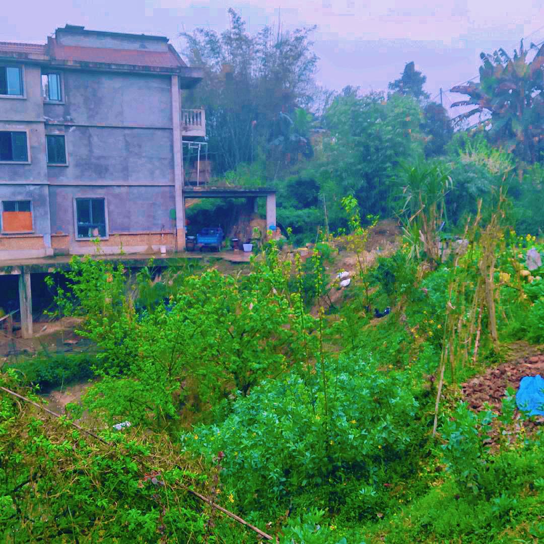 用户8818582736537李子楷