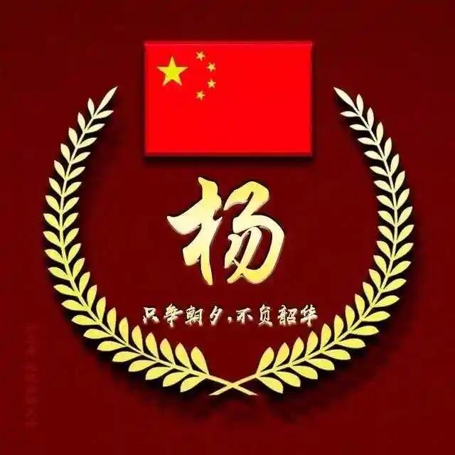 小杨小号