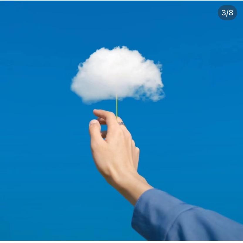 回收各类品种🐩