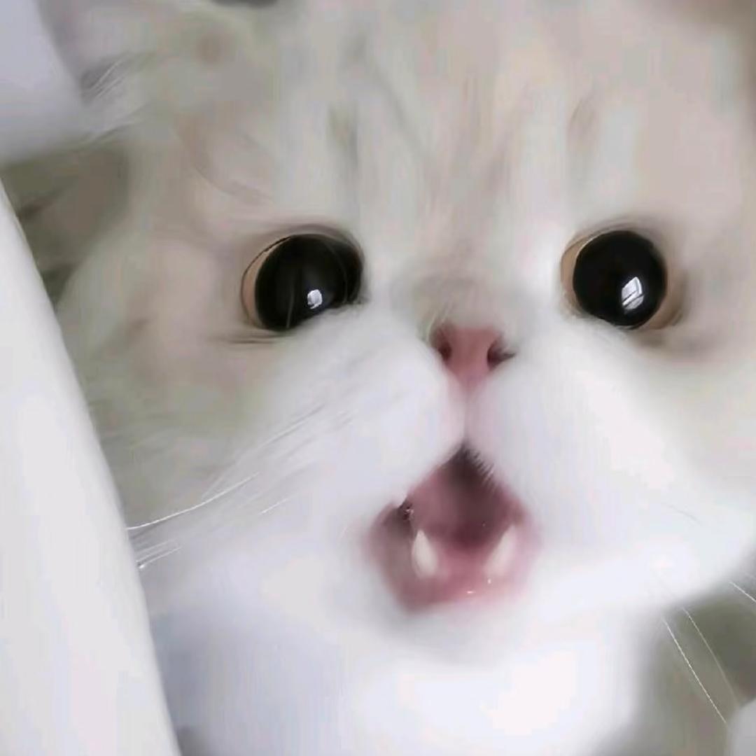 好逗