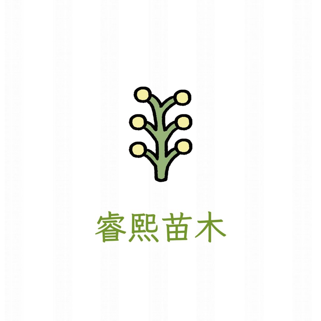 睿熙苗木1