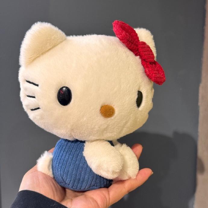 Hello kitty 🐱