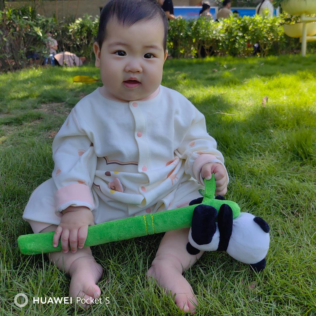 💞吉祥仨宝💞