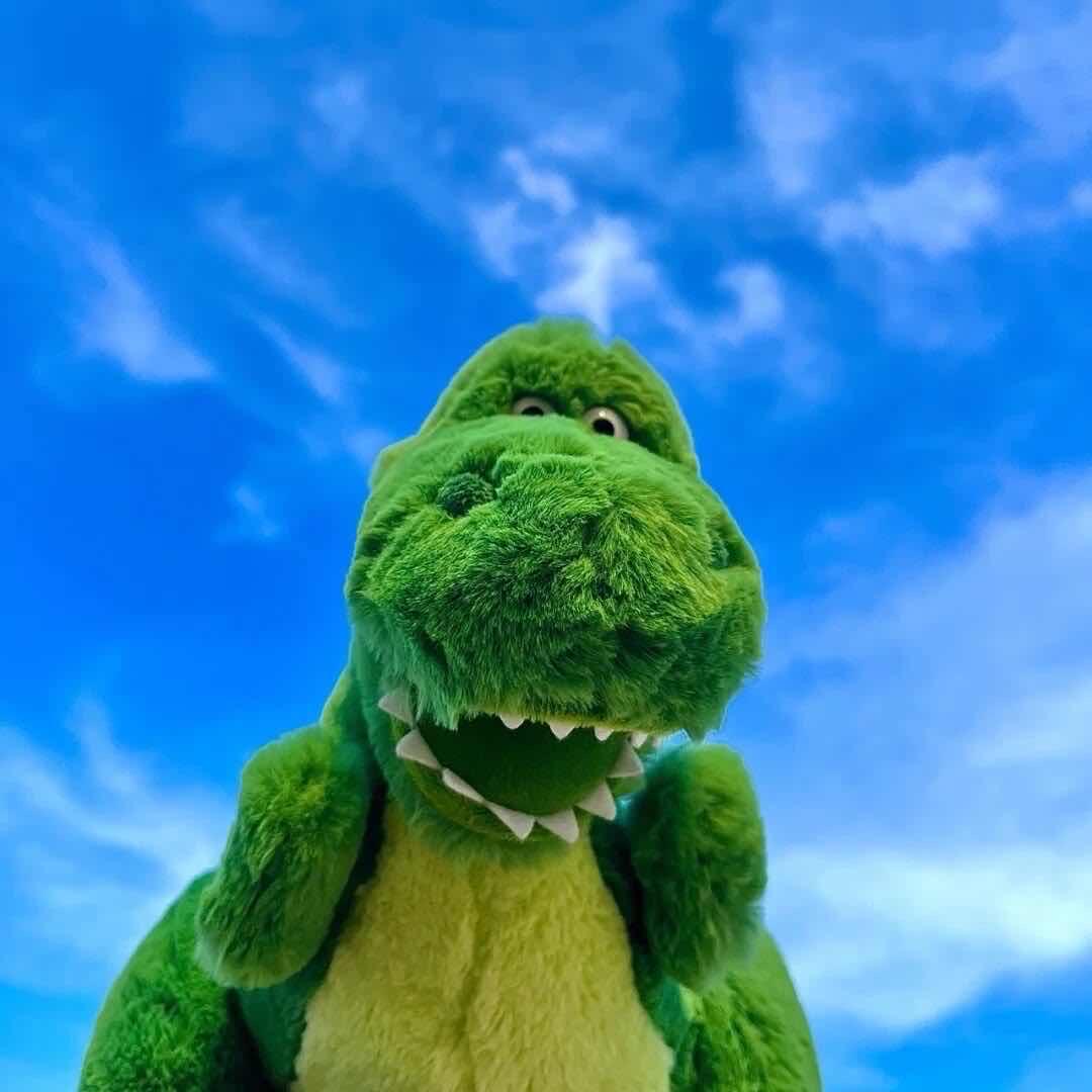 張.
