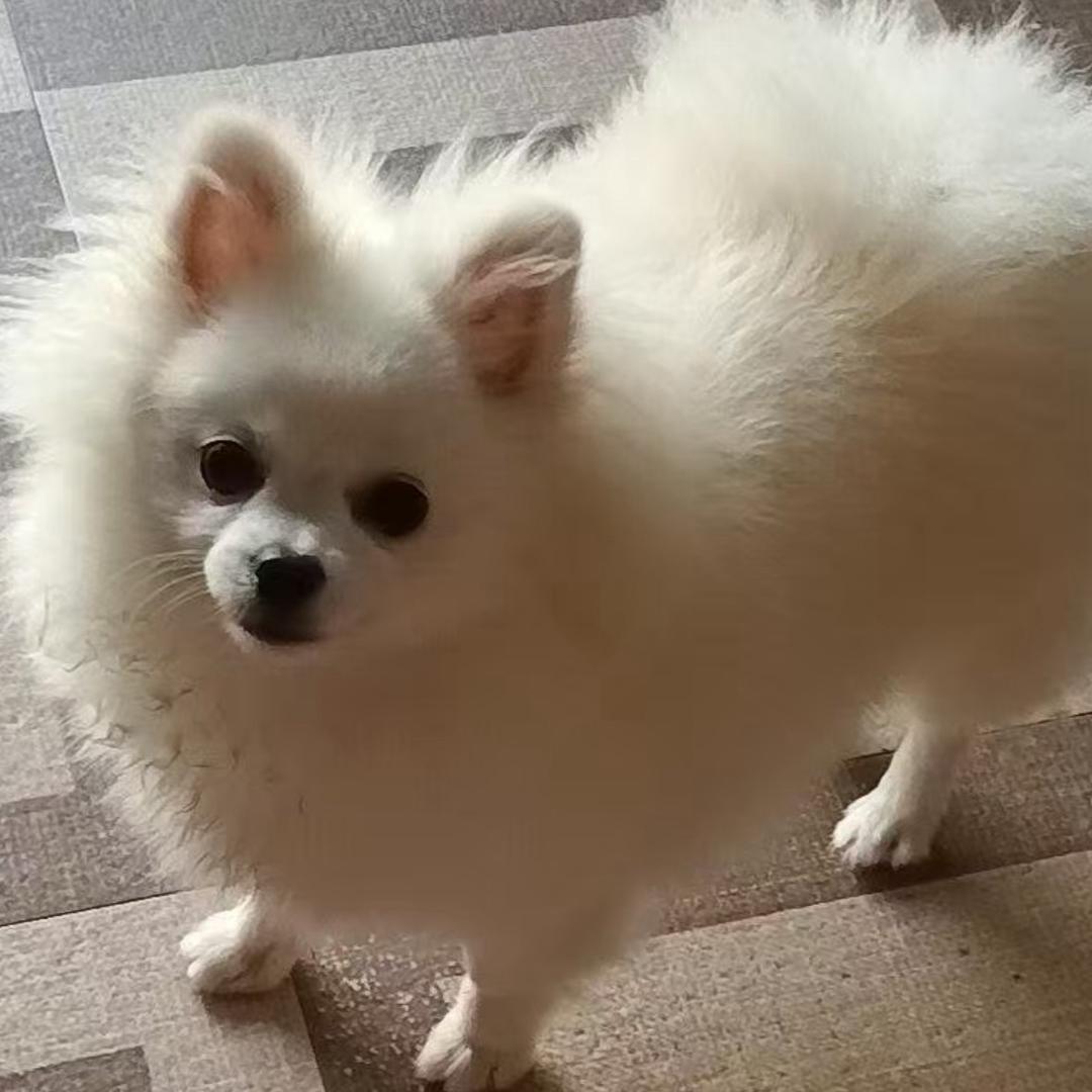 👉念念👈