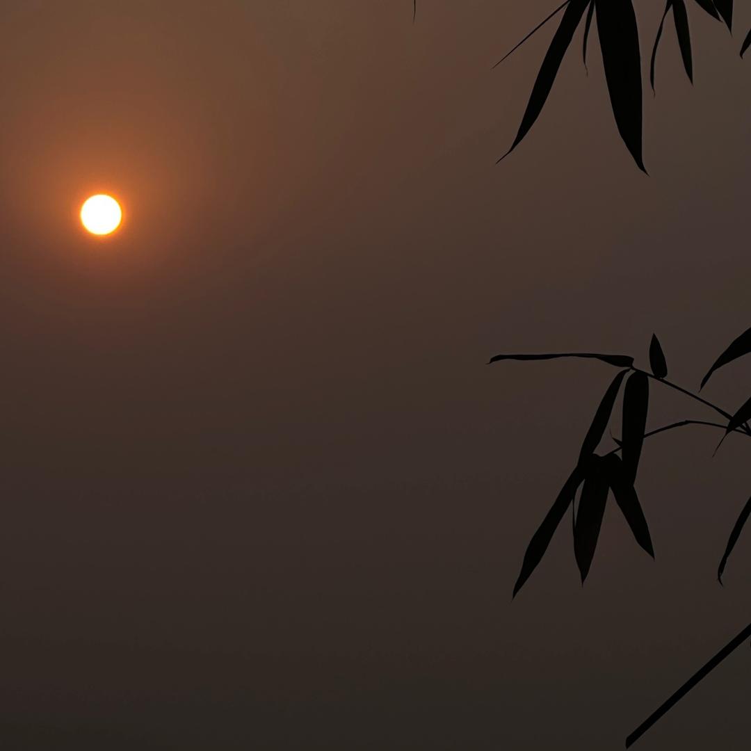 桓