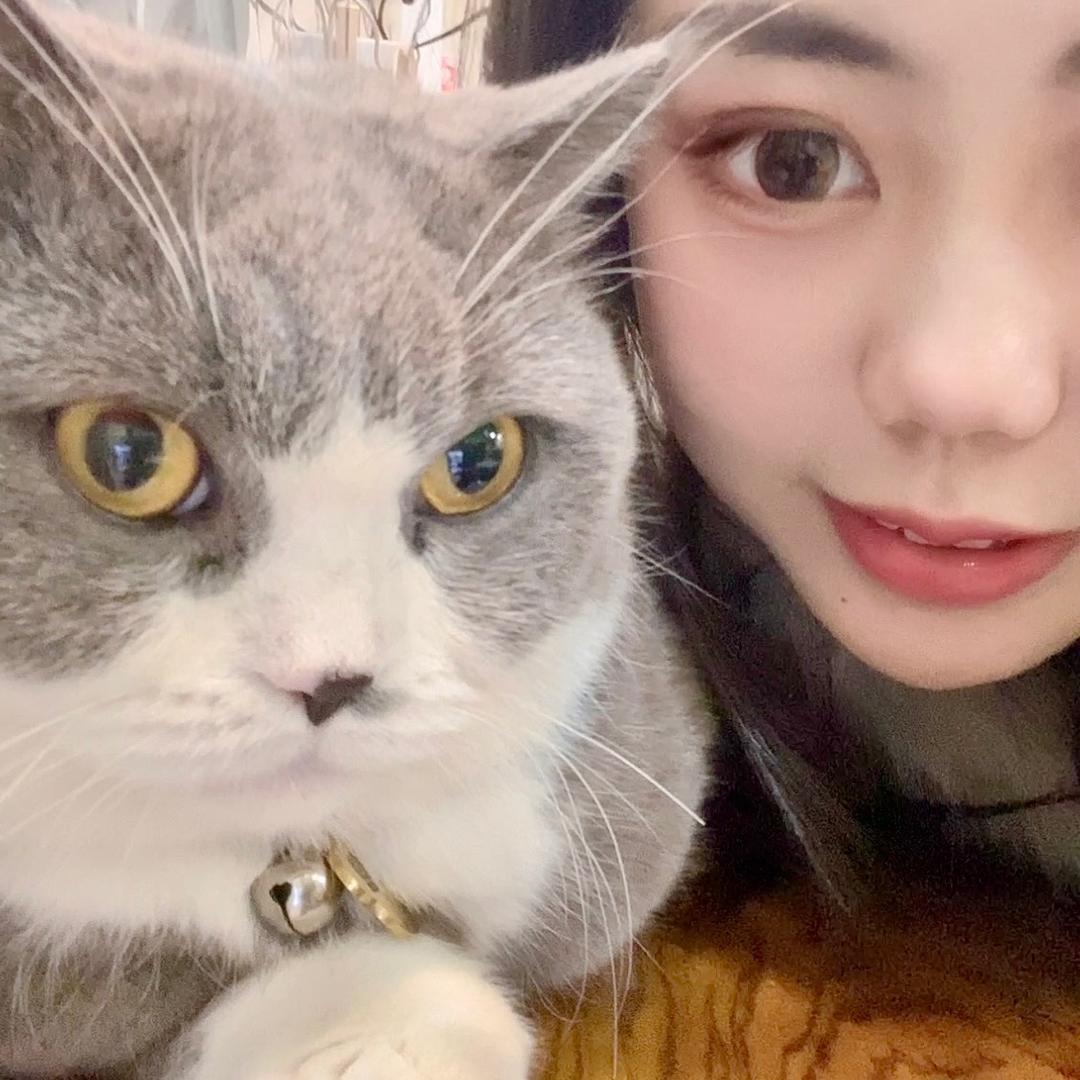 溜小猪的大象