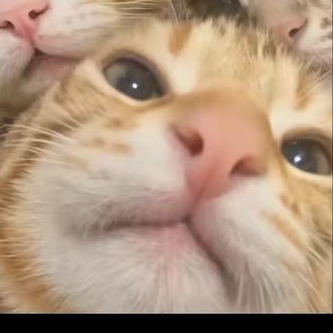 遥