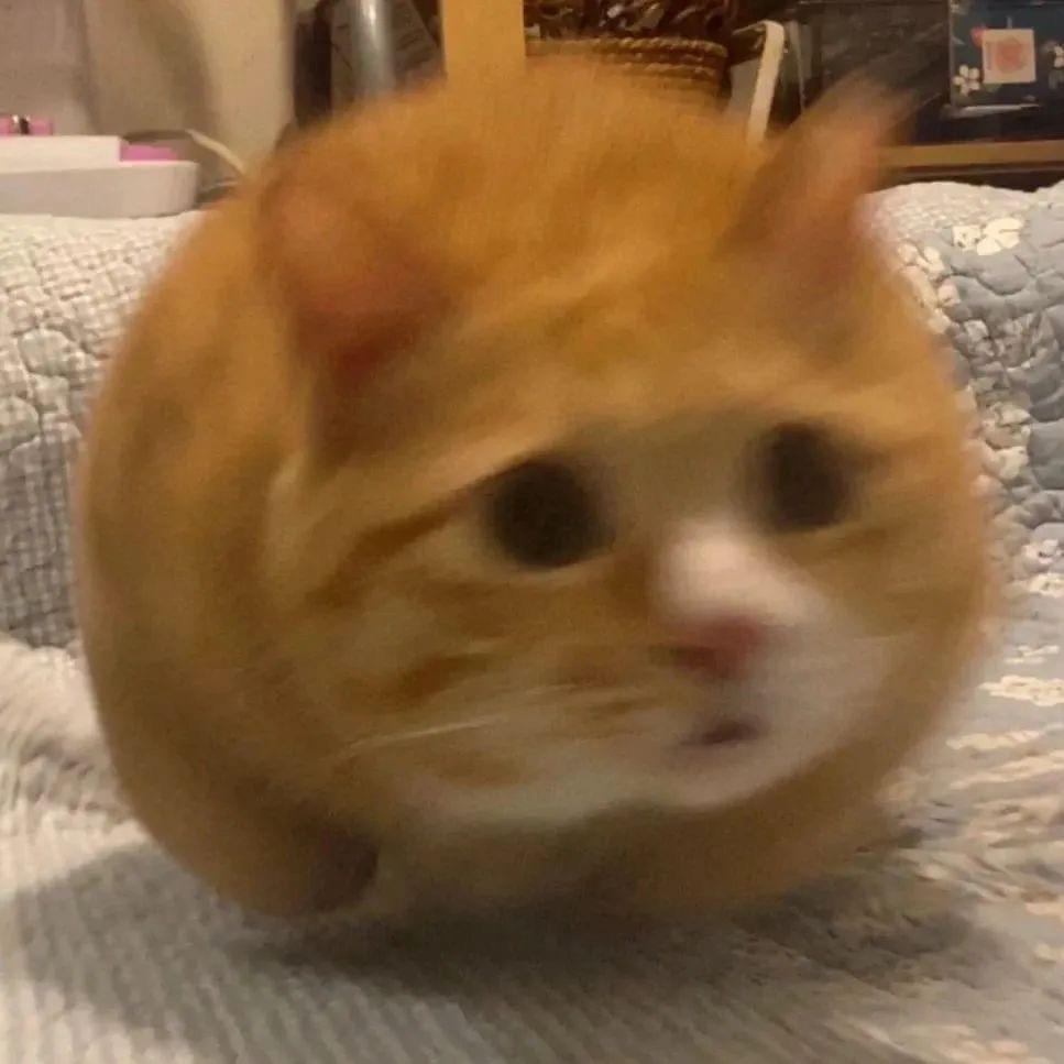 薯条总裁