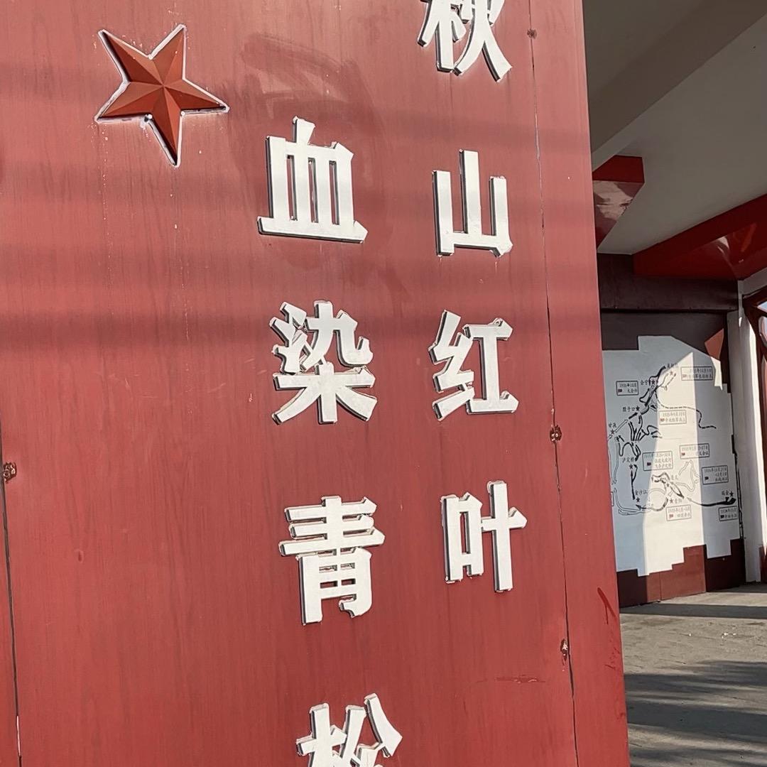 半夜三点写遗书