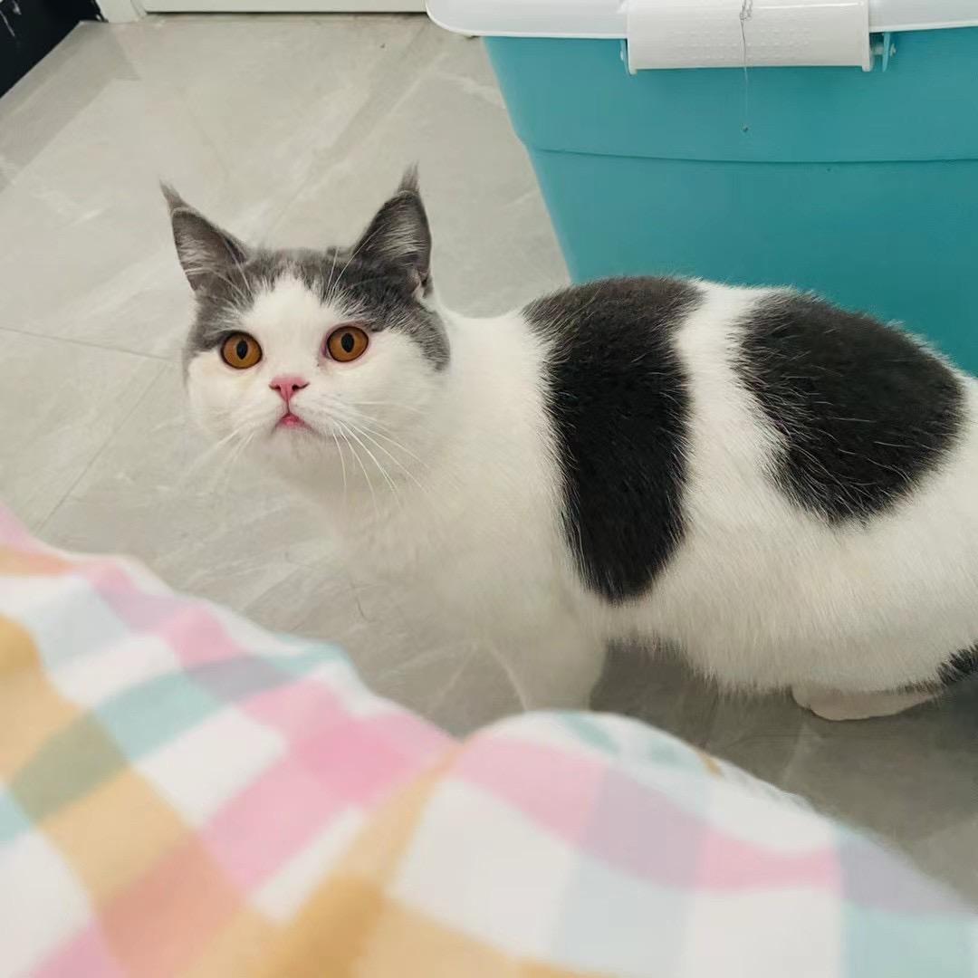 @不遗余力