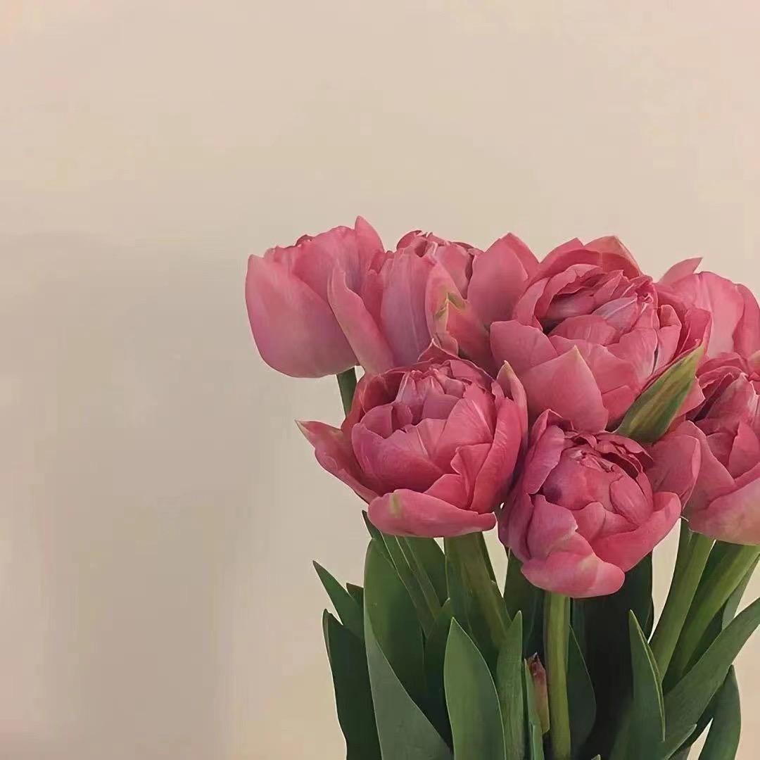 晨阳