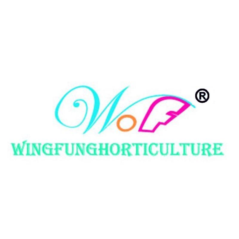 广州荣丰园艺资材