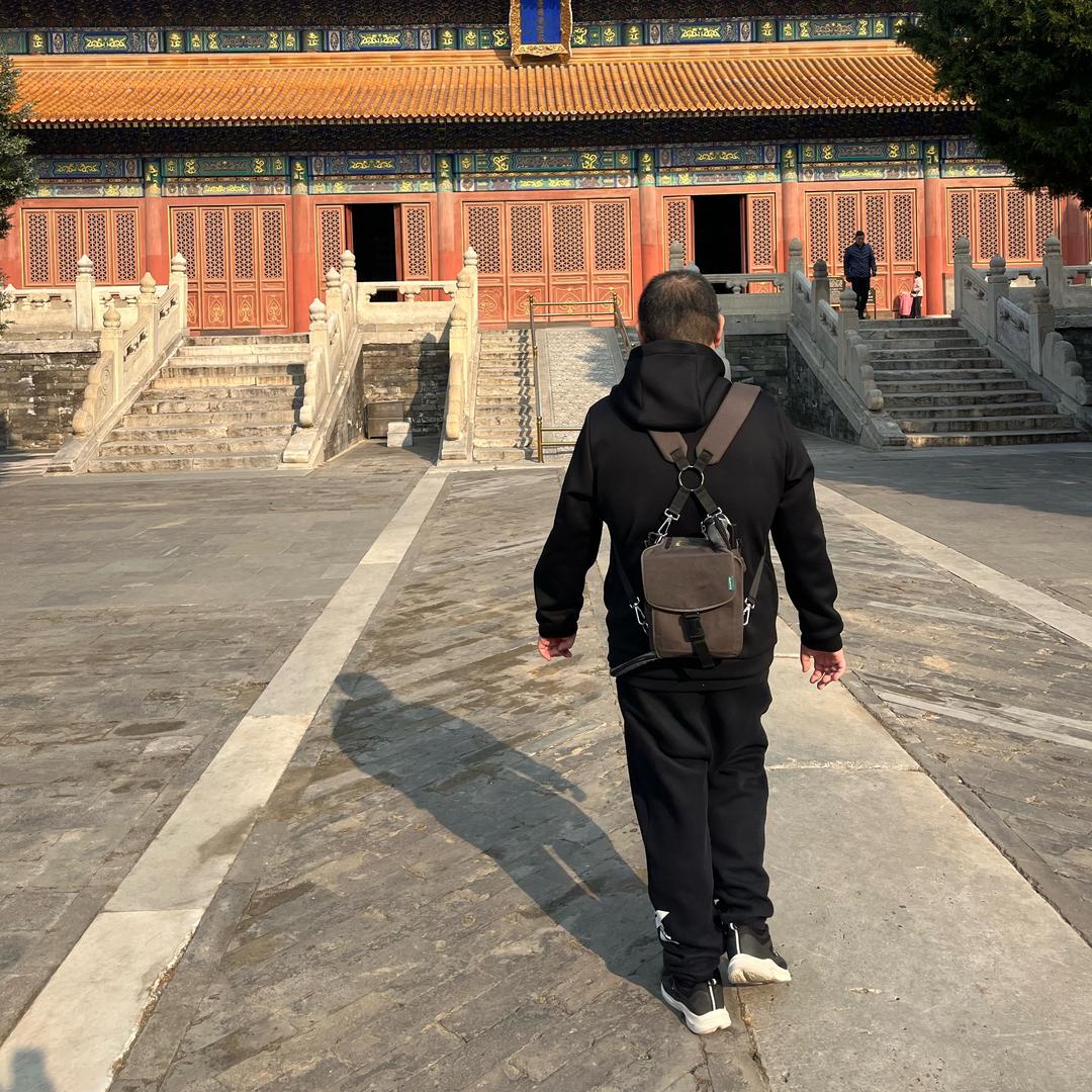 人工心脏,大振、